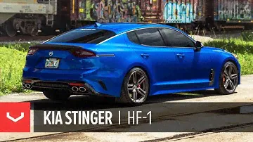 Kia Stinger | “Blueberry GT” | Vossen Hybrid Forged HF-1